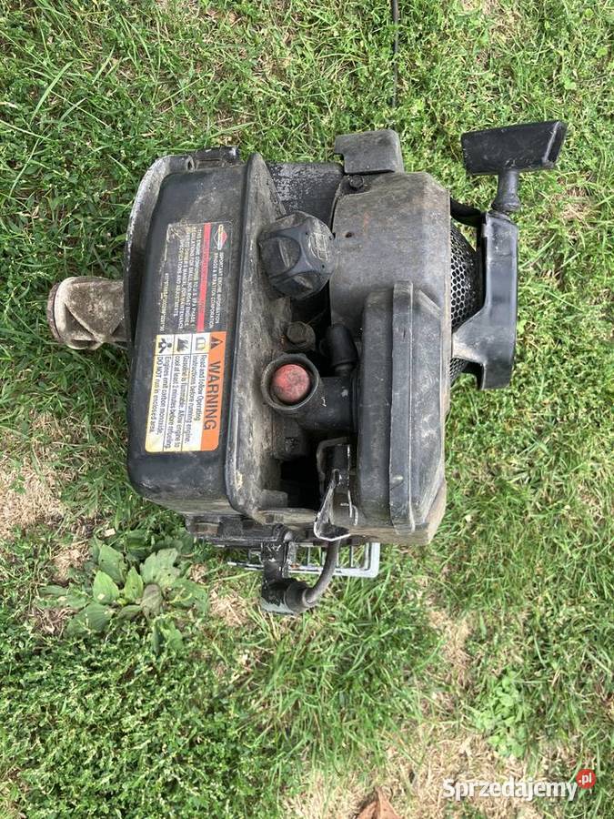 Silnik do kosiarki Briggs Stratton Sprawny dolnośląskie Oleśnica