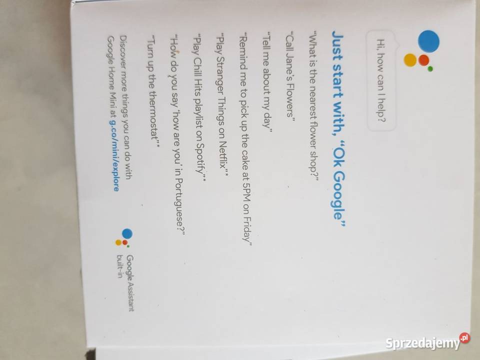 inteligentny elektroniczny głośniczek google
