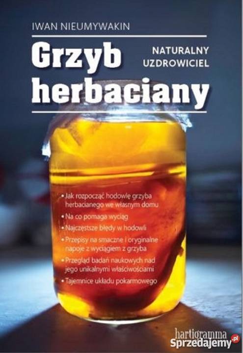 Grzyb herbaciany Naturalny uzdrowiciel Warszawa