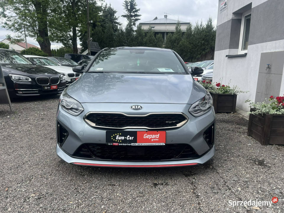 Kia Pro Ceed nieuszkodzony Janów Lubelski