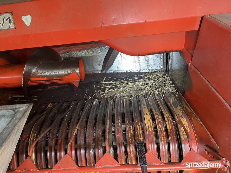 Prasa sipma mazowieckie Krzynowłoga Mała