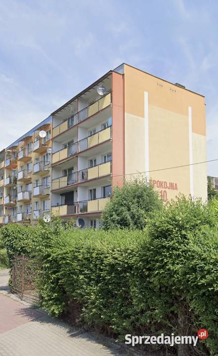 Na sprzedaż 2 pokojowe mieszkanie parter sprzedam