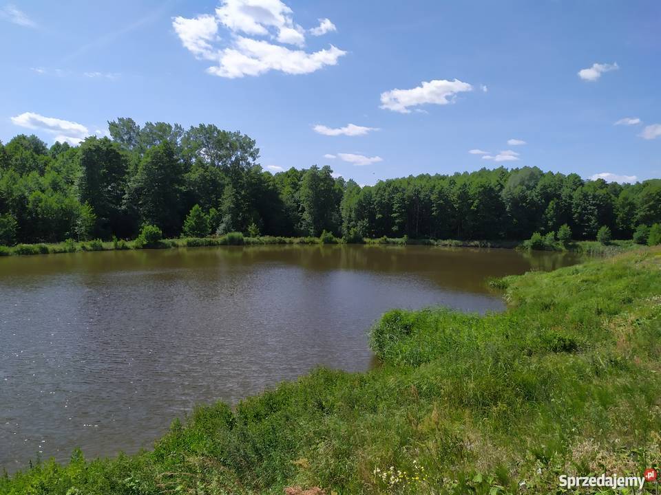 Duża działka ze stawem w okolicach Mławy mały Mława sprzedam