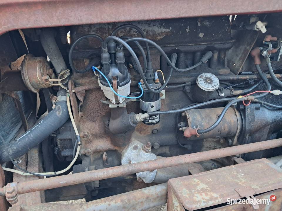 Massey ferguson 35 MF35 tea20 kujawsko-pomorskie Grębocin