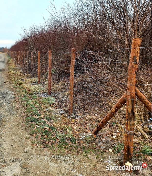 Ogrodzenia z siatki leśnej tymczasowe budowlane dolnośląskie Wrocław