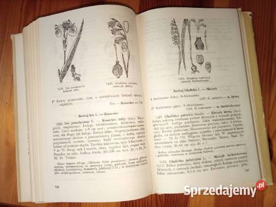 Przewodnik do oznaczania roślin łódzkie