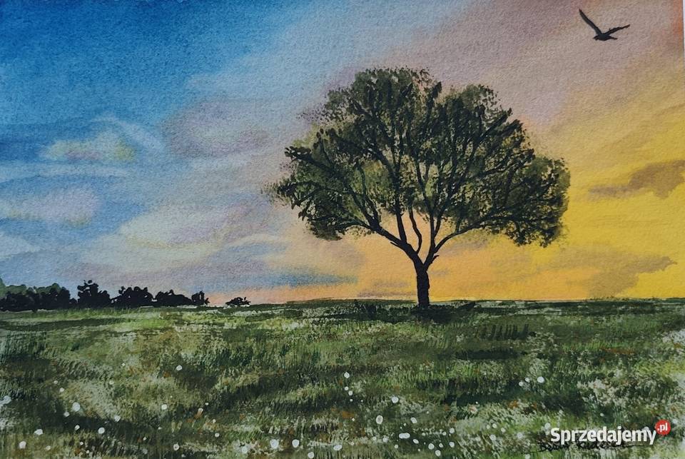 Akwarela Akwarelka Obraz pt Samotnicy 19x27 Walentynów