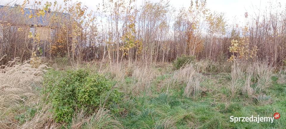 3 działki z MPZP w Wychowie k Luzina pomorskie Sychowo sprzedam