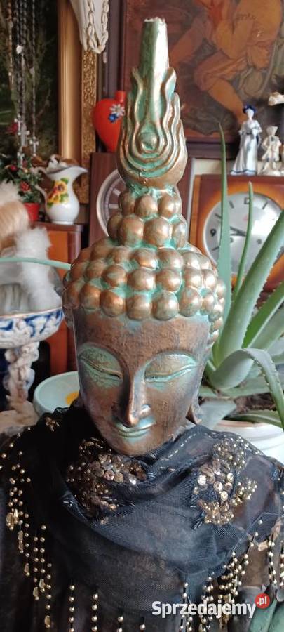 BUDDY najwyższa 118 najniższa 44 nie gips nie inny kolor Poznań