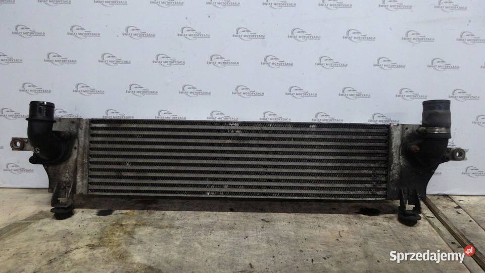 QASHQAI I J10 LIFT 15 DCI 11r intercooler osobowe świętokrzyskie
