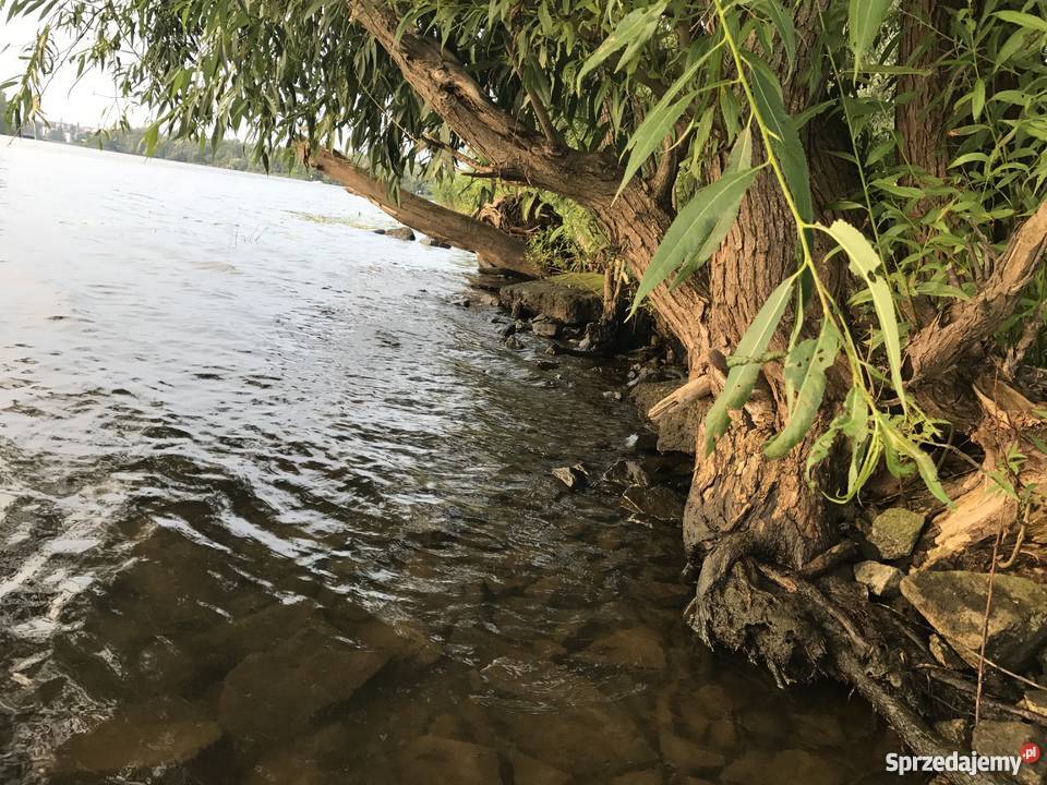 Działka Ogrodowa Wyspa Pucka zachodniopomorskie Szczecin