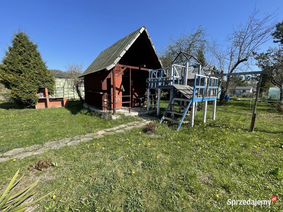 Działka ROD Związkowiec Wrocław Przejazdowa 22 sprzedam
