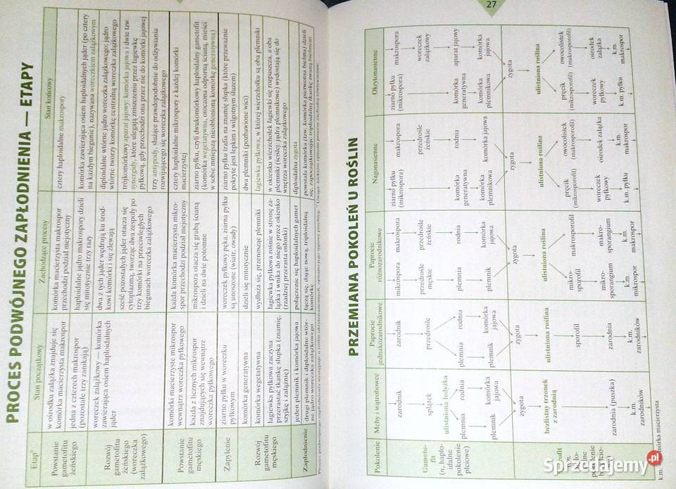 Biologia Małe tablice W Mizerski B Bednarczuk lubelskie Chełm
