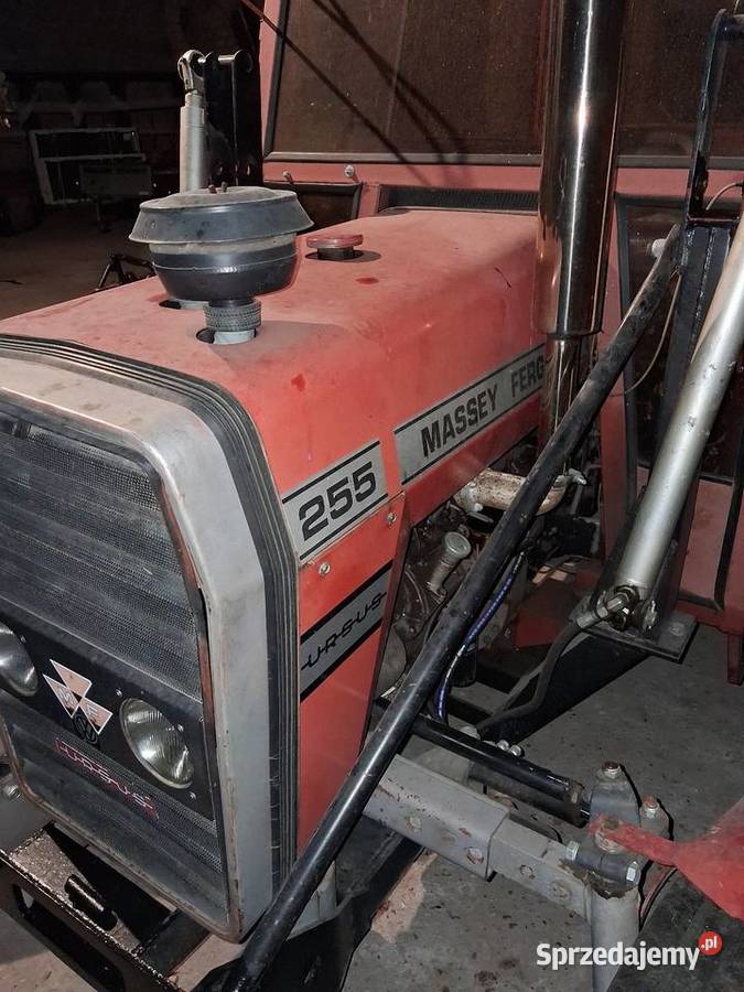 Massey Ferguson 255 łódzkie Poddębice