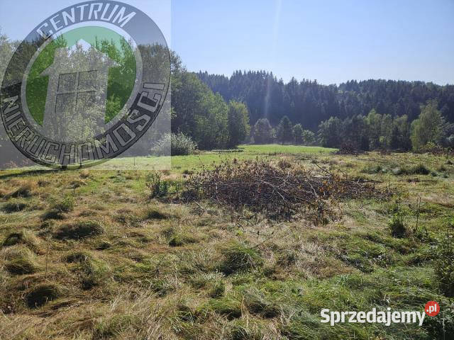 sprzedaży działki Mystków 9500m2 prąd Sprzedaż małopolskie