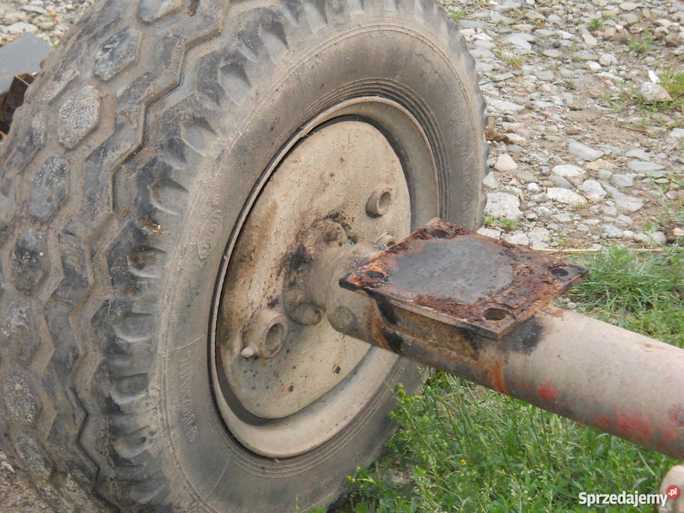 Oś na balonówkach małopolskie Spytkowice