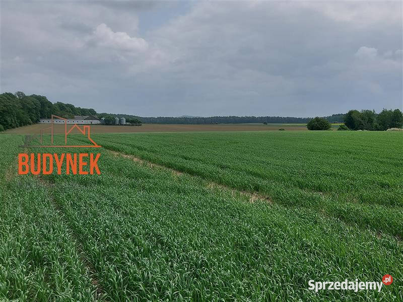 Gospodarstwo rolne Sławno sprzedam