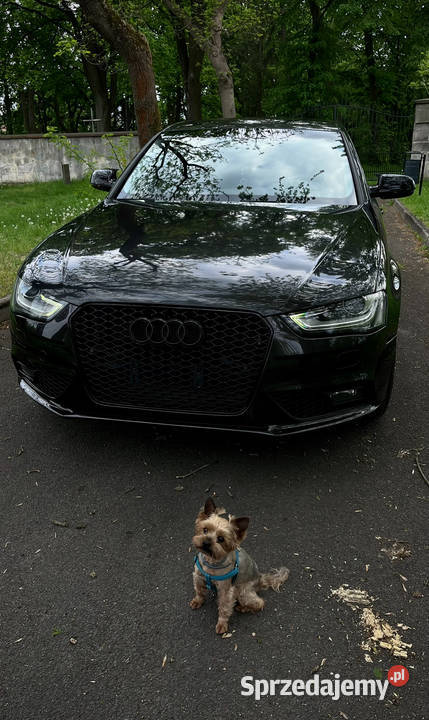 Audi A4 2013 Bolesławiec
