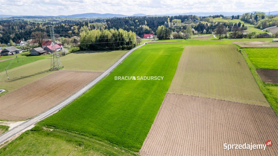Działka do sprzedania Rzepiennik Strzyżewski 5800m2
