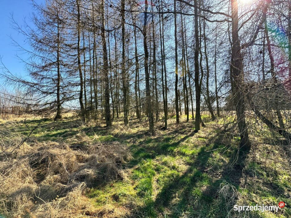 Działka budowlana 5436 m Łuków Śląski 101m sprzedam