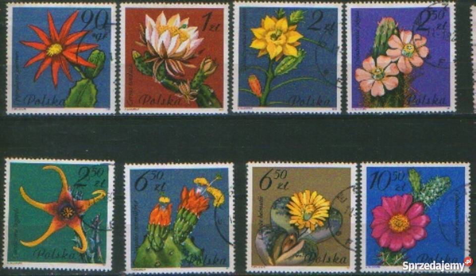 Zn Fi 2636 43 kas 1981 Filatelistyka Gliwice