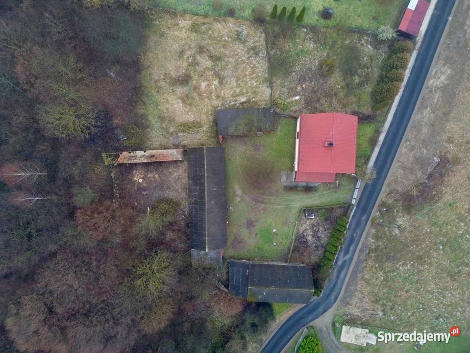 Sprzedam dom z budynkami 60 arów w Zdziechowice Drugie sprzedam