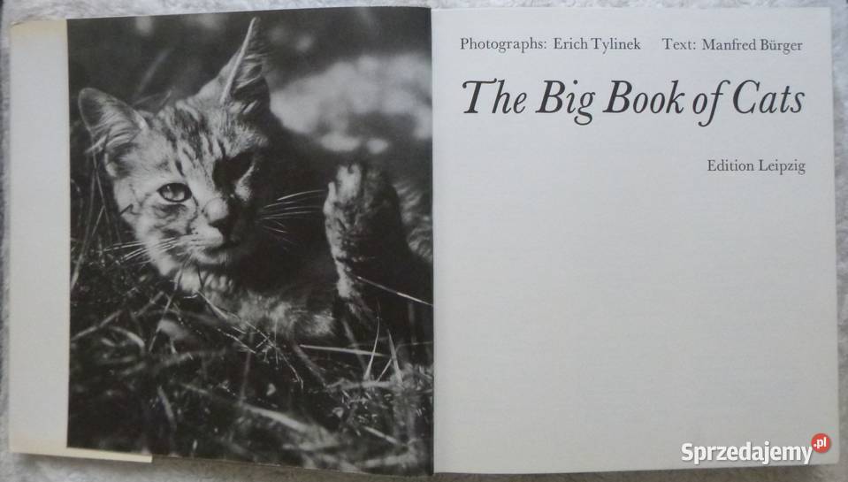 The Big Book of Cats M Burger E Tylinek Warszawa sprzedam