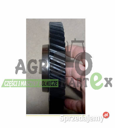 5181198 KOŁO ZĘBATE CNH Wichrów