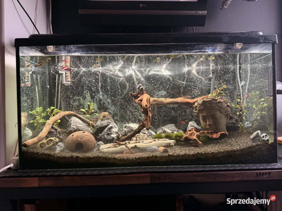 AKWARIUM 200L 100x50x40