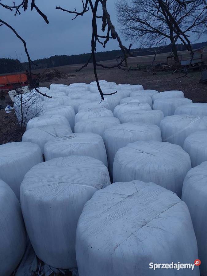 SianoSianokiszonka 120x120 Trawy, słoma Jelenie