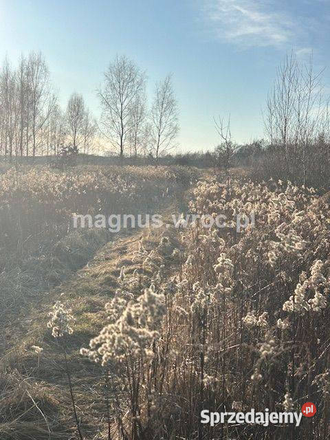Oferuję działke inwestycyjną w Jerzmanowie
