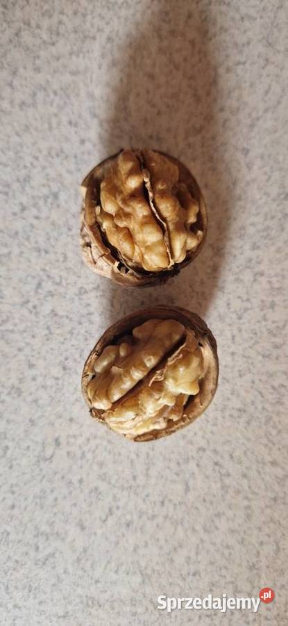 Orzechy włoskie Milin
