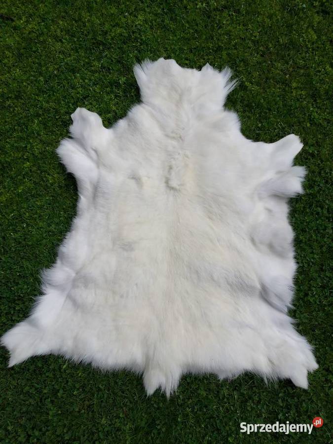 Skóra z Białego Renifera ALBINOSA UNIKAT Szaflary sprzedam