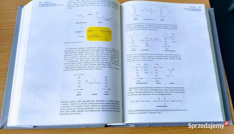 Biochemia Lubert Stryer WYDANIE NOWE 2000 Gdańsk sprzedam