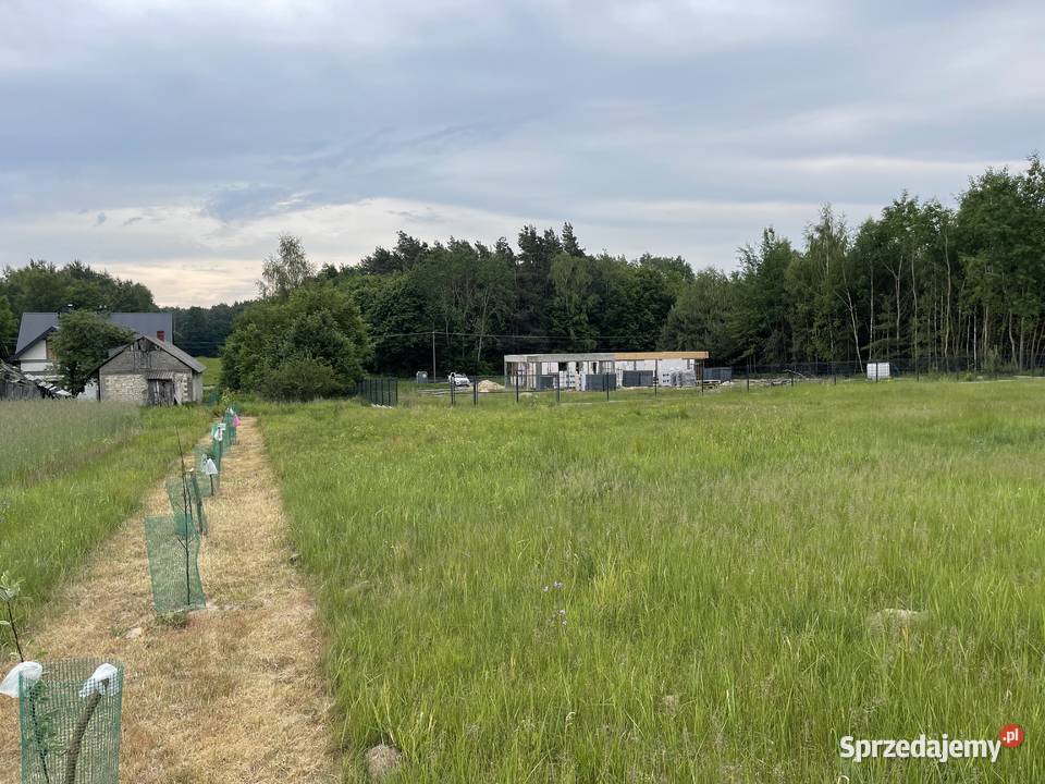 Dom na działce 96 arów mekintosz 10 sprzedam