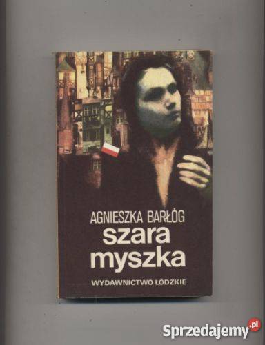 Szara Myszka Szczecin