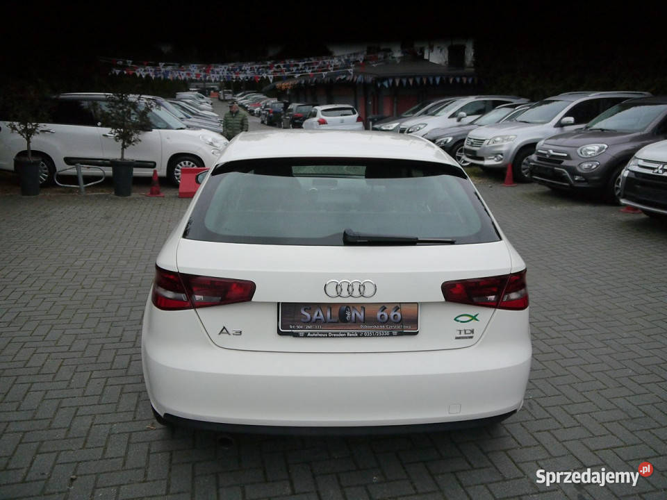 Audi A3 16d 150 Stan Idealny 100bezwypadkowy z aluminiowe felgi śląskie Częstochowa sprzedam