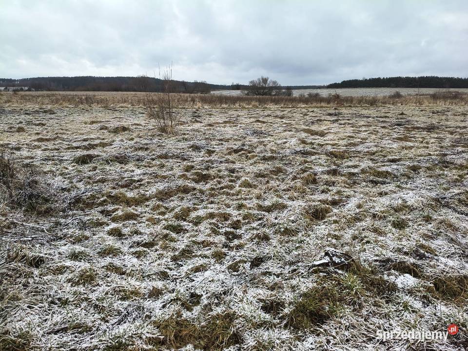 Działka budowlana Marcinowice