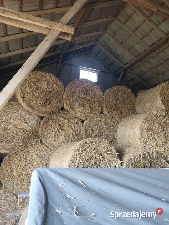 Sprzedam słomę Hodowla i gospodarstwo