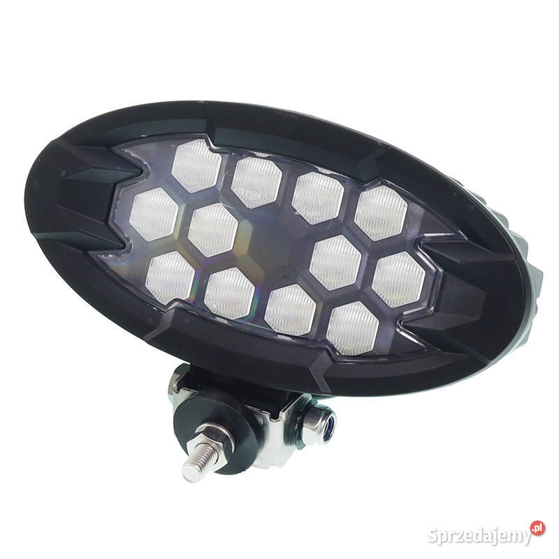 LAMPA ROBOCZA OWALNA RAPTOR LP 1224V Lampy robocze