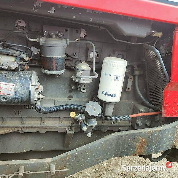 Massey Ferguson 6170 pomorskie Różyny