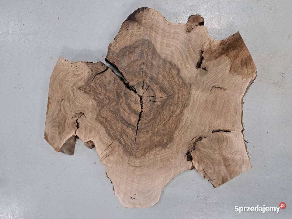 Plastry Orzech Korzeń suche Kalinówka