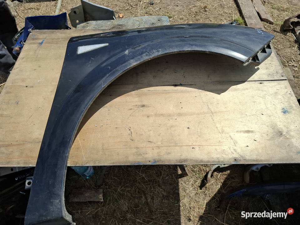 Błotnik Prawy Renault Scenic Wisznice