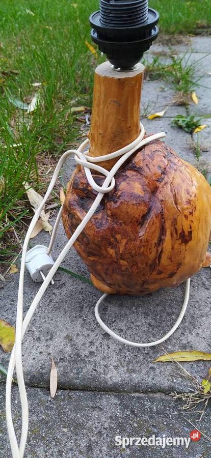 Lampa z korzenia wielkopolskie Słupca sprzedam
