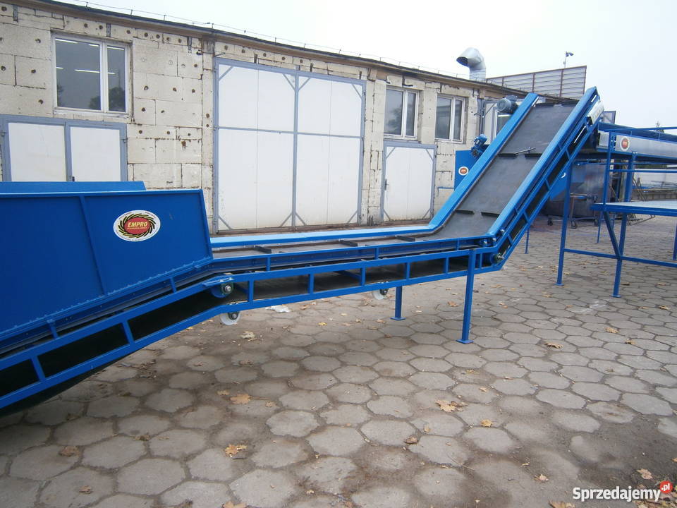 segregacja stół przebierczy przenośnik taśmociąg Zielniki