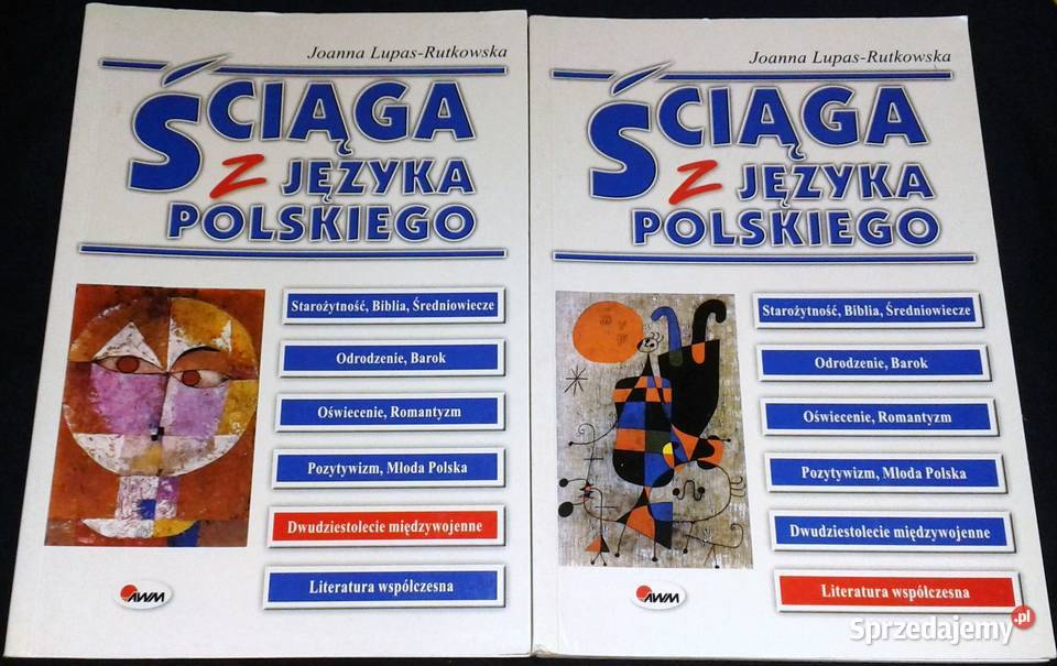 Ściąga z języka polskiego 6 części Joanna