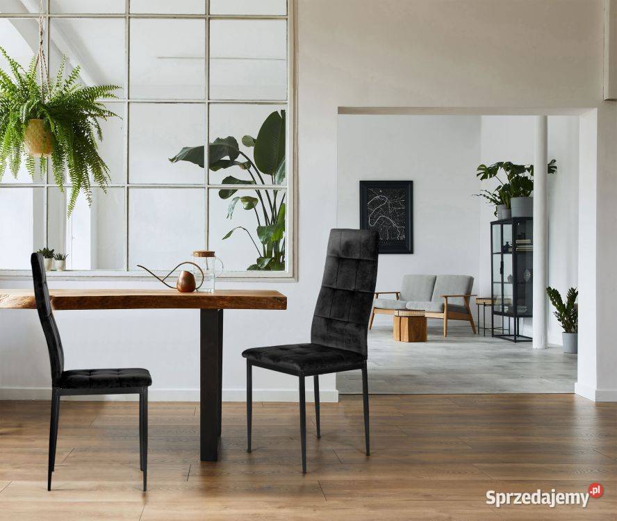 Komplet 4 krzeseł czarne krzesło welurowe do Bielsk Podlaski