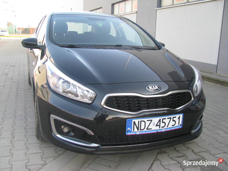 sprzedam kia ceed 16 cdi Polski salon Cee'd Działdowo