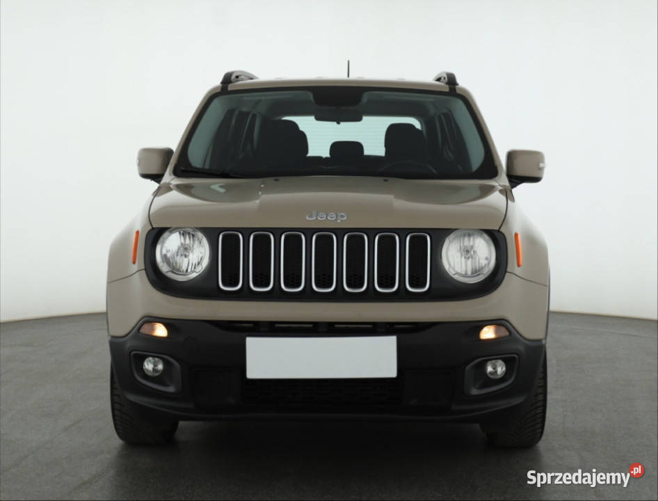 Jeep Renegade 14 MultiAir Renegade