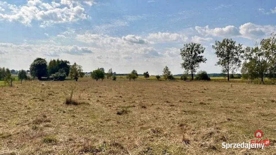 Grunt Rafałówka 1000m2